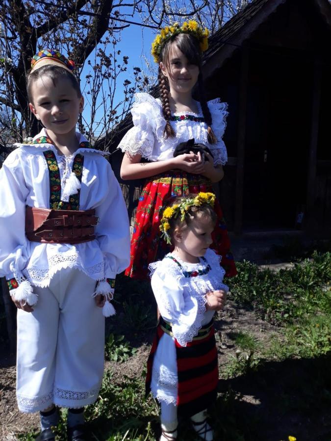 Pensiunea Maria Sighetu Marmaţiei Exteriér fotografie